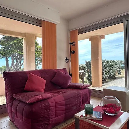 Face A La Avec Grande Terrasse Pornic